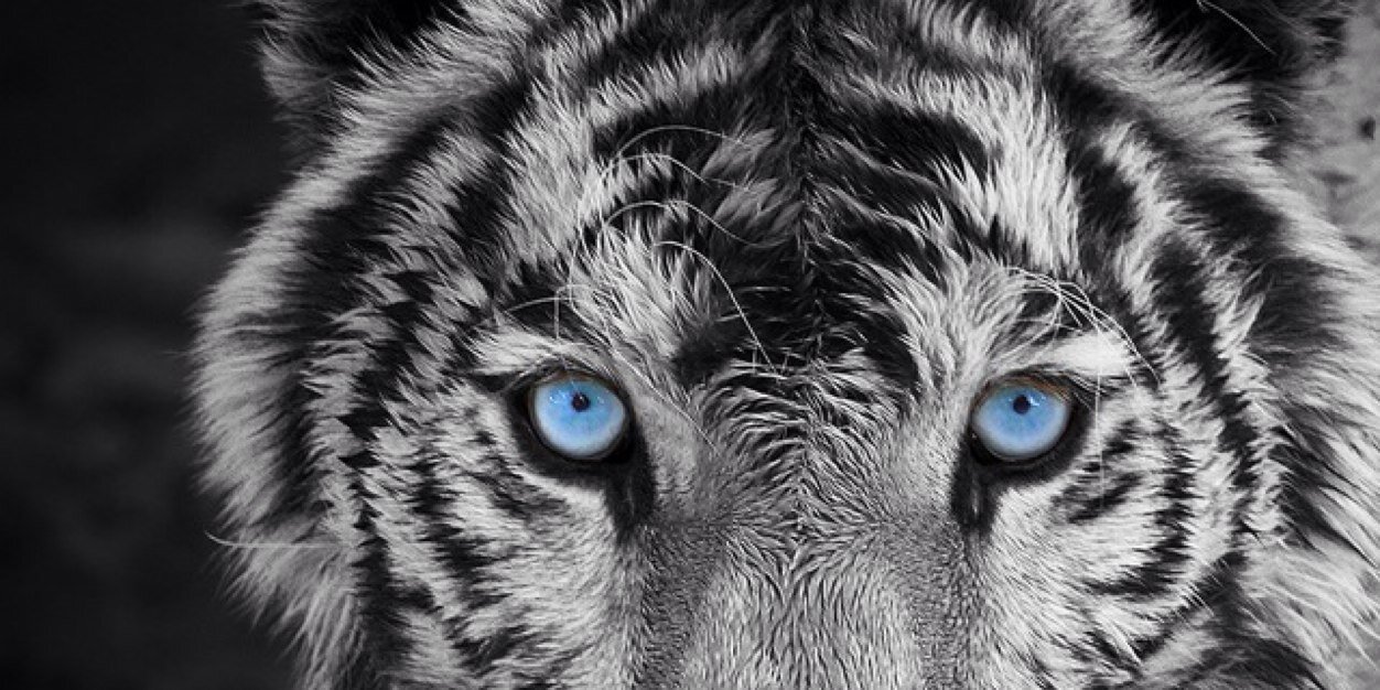 luckymann007's profile banner image