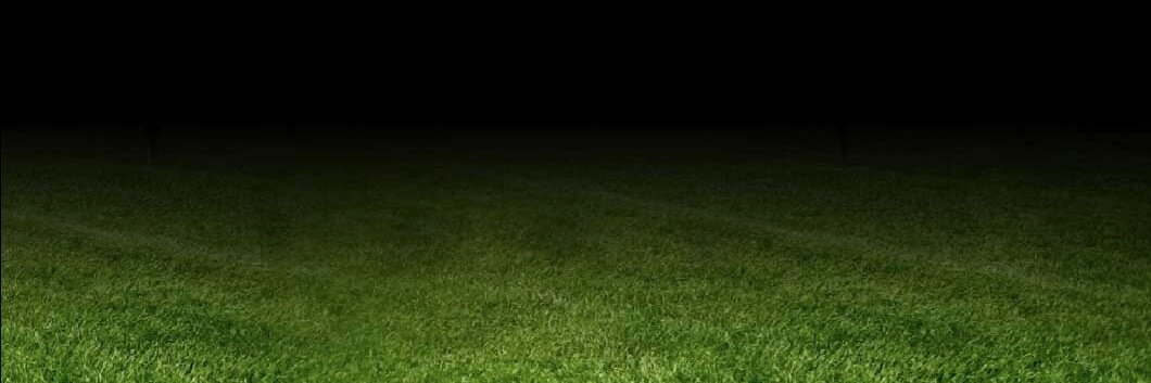 Yo banner