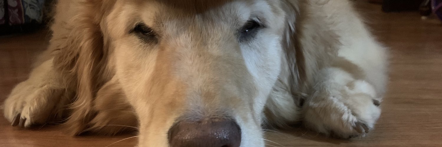 yauski's profile banner image