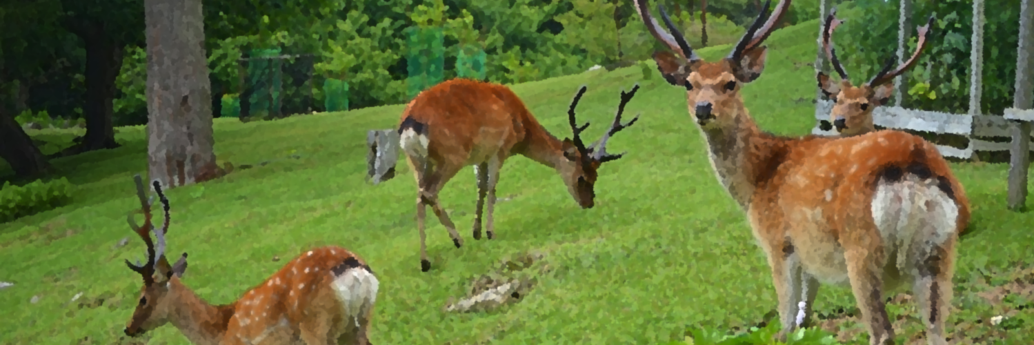 JacoPas57's profile banner image