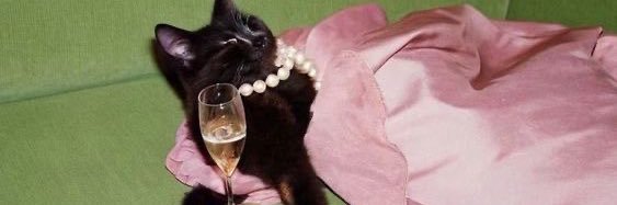 deb⭑𓂃💋ྀིྀི banner