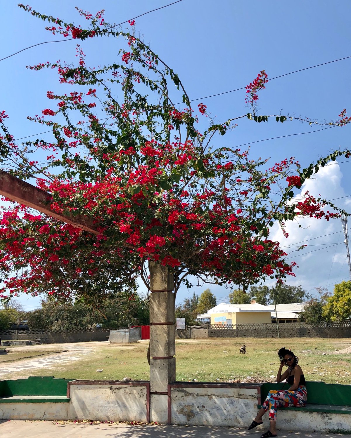 MsBrendaSethi's profile banner image