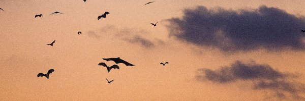 batappreciation Profile Banner