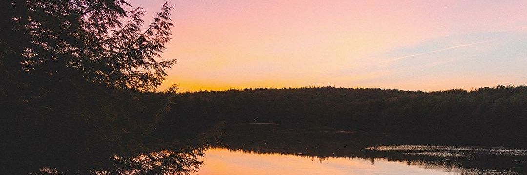 _thini_'s profile banner image