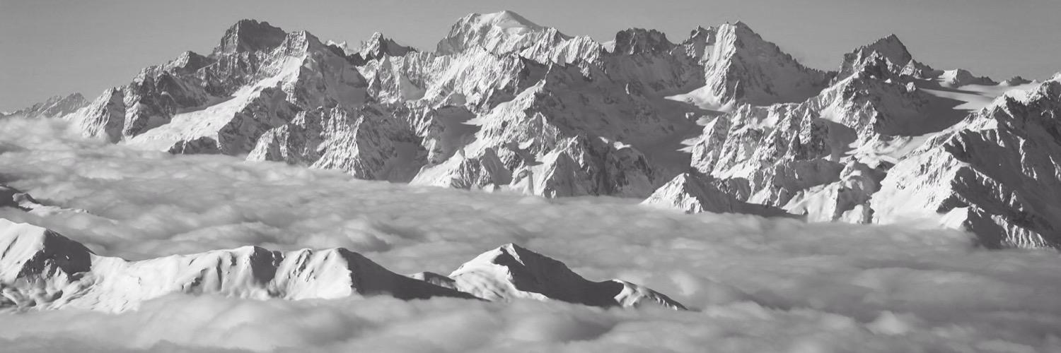 Michael Muller banner