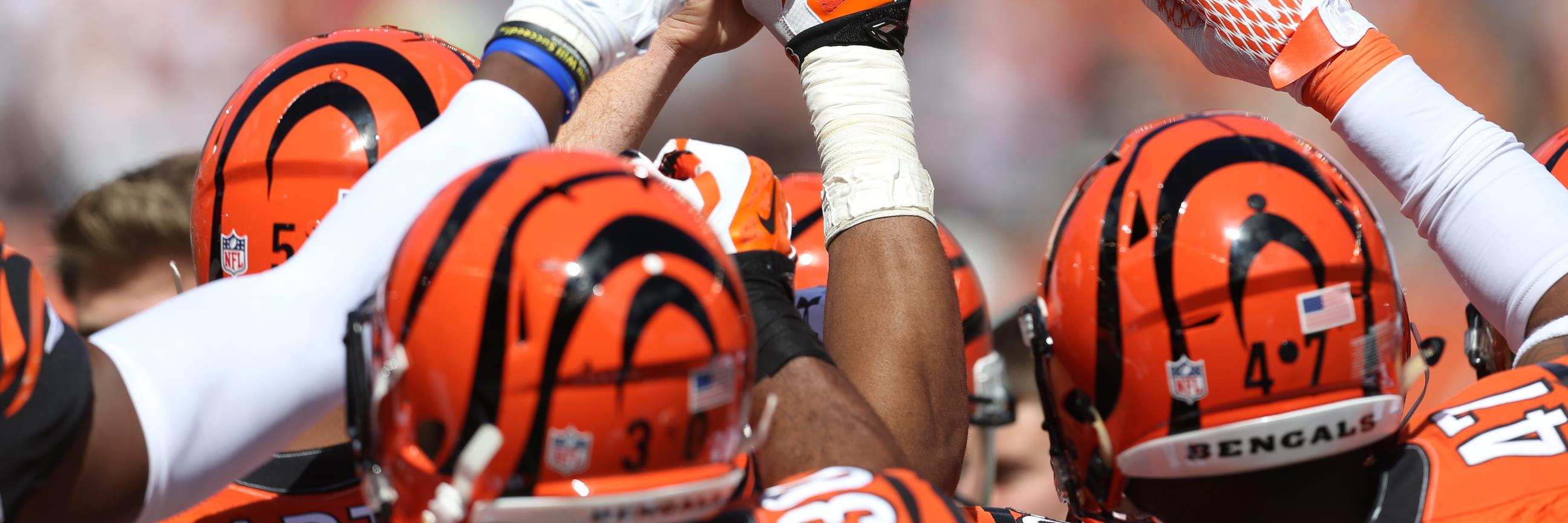 TJWags24's profile banner image
