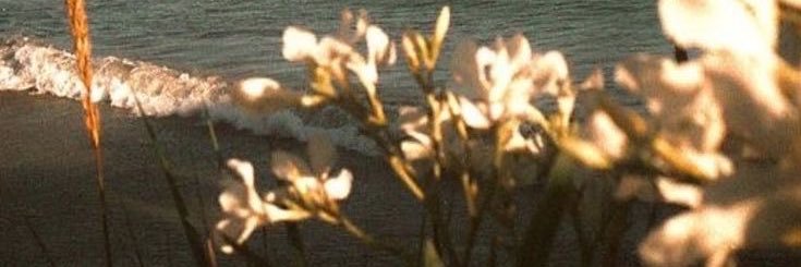 ohkayetee's profile banner image