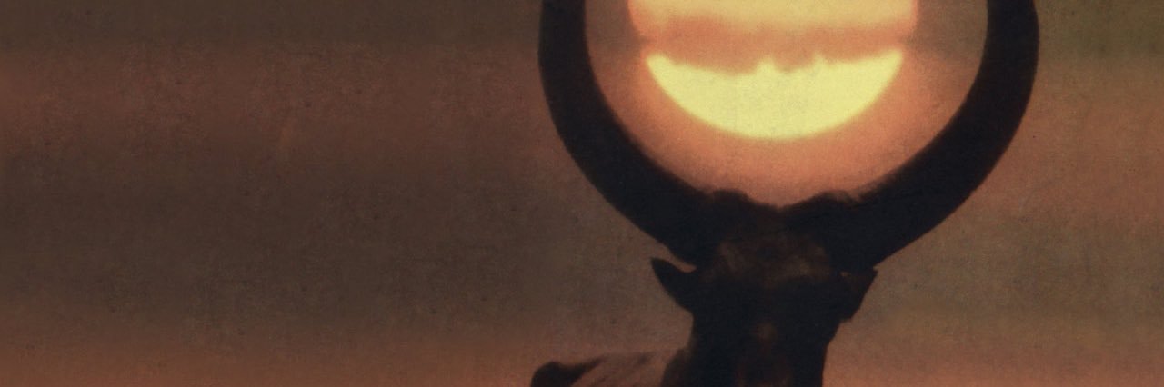kadevdm's profile banner image