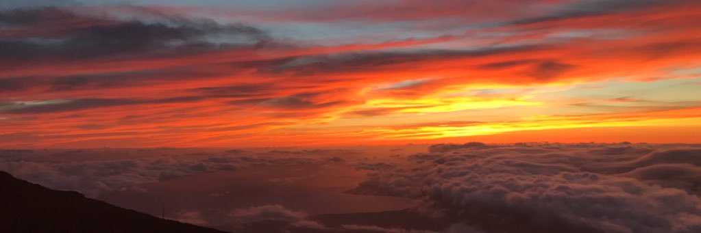 delainey29's profile banner image