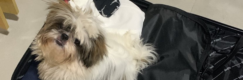 annaagnolin's profile banner image