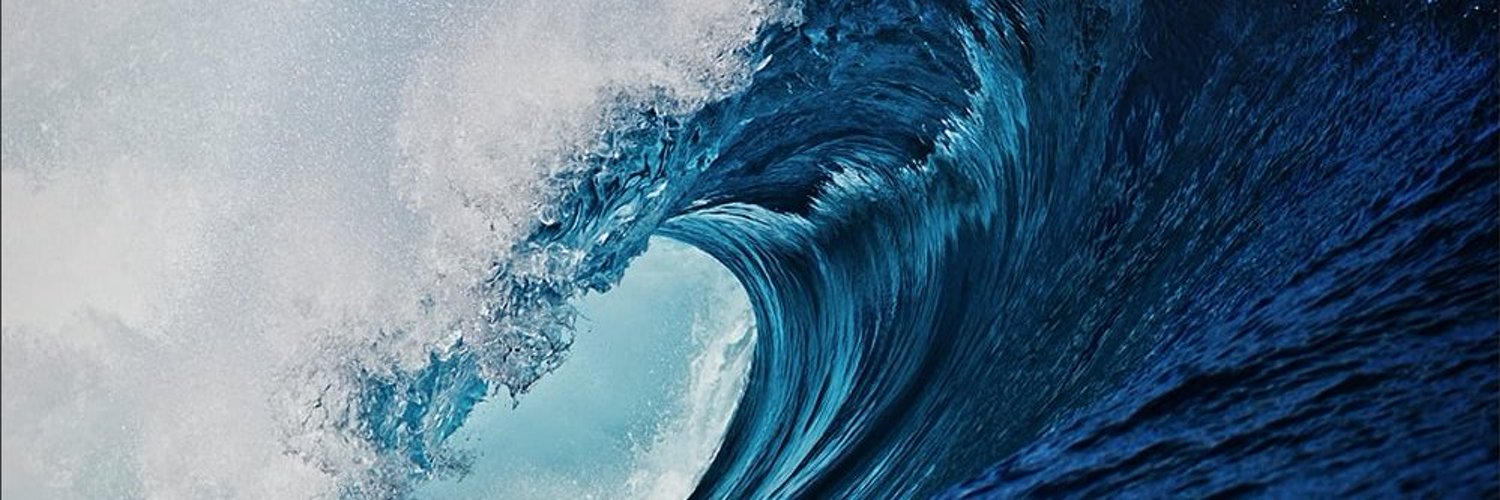 Remy 🇺🇦 🏄‍♂️ 🐤 banner