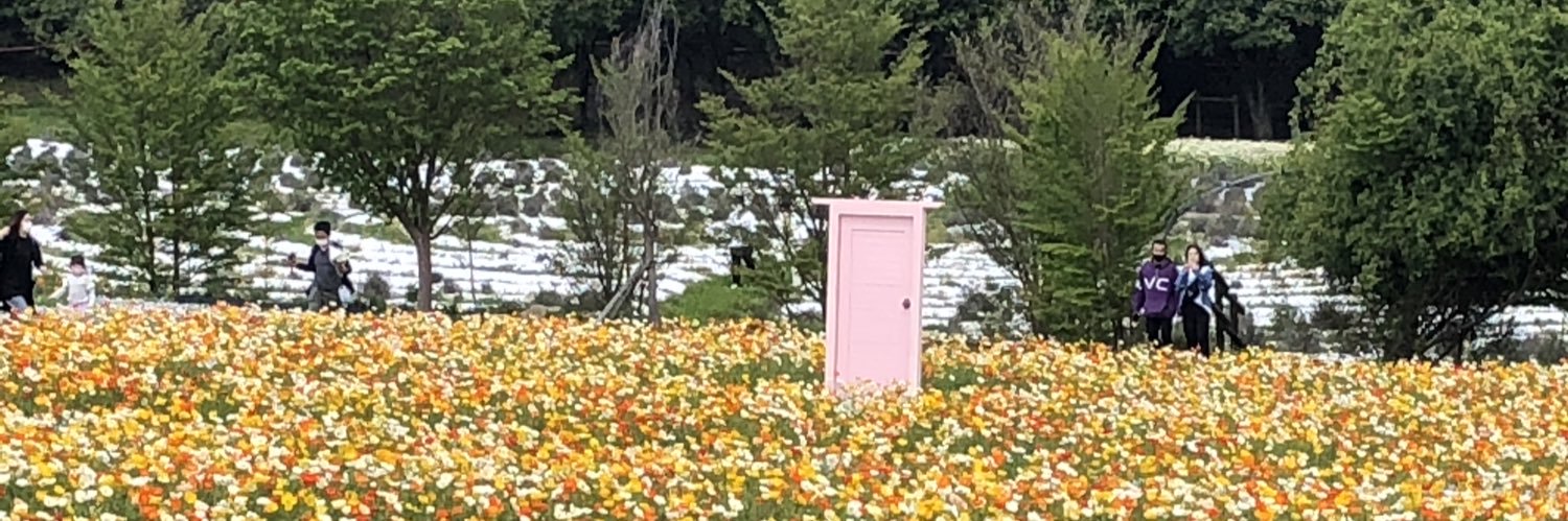 しろうさぎ banner