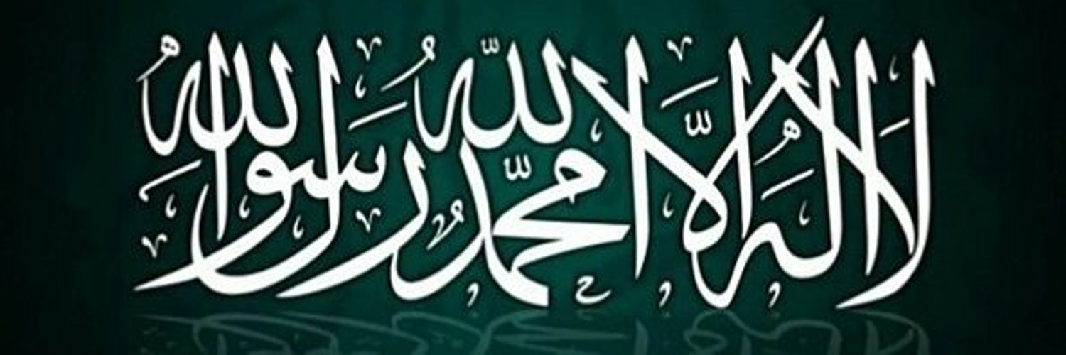 Tarih Kritik banner