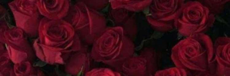 kholod5051's profile banner image