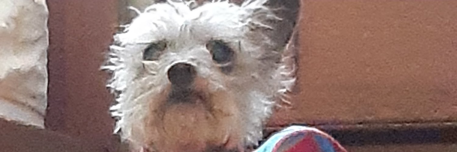 XMightytwerp's profile banner image