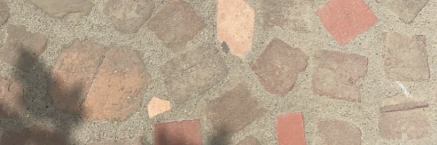 Elena Hernandez banner