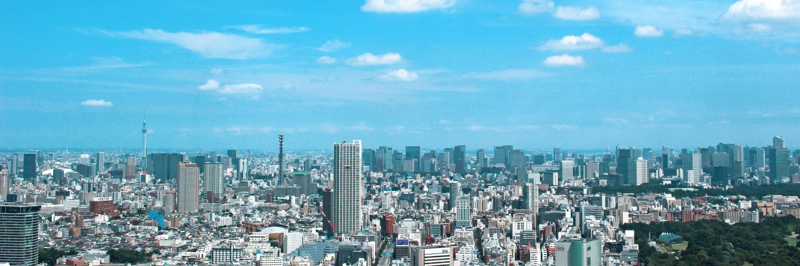 松田まなぶ（松田学）＠参政党's banner