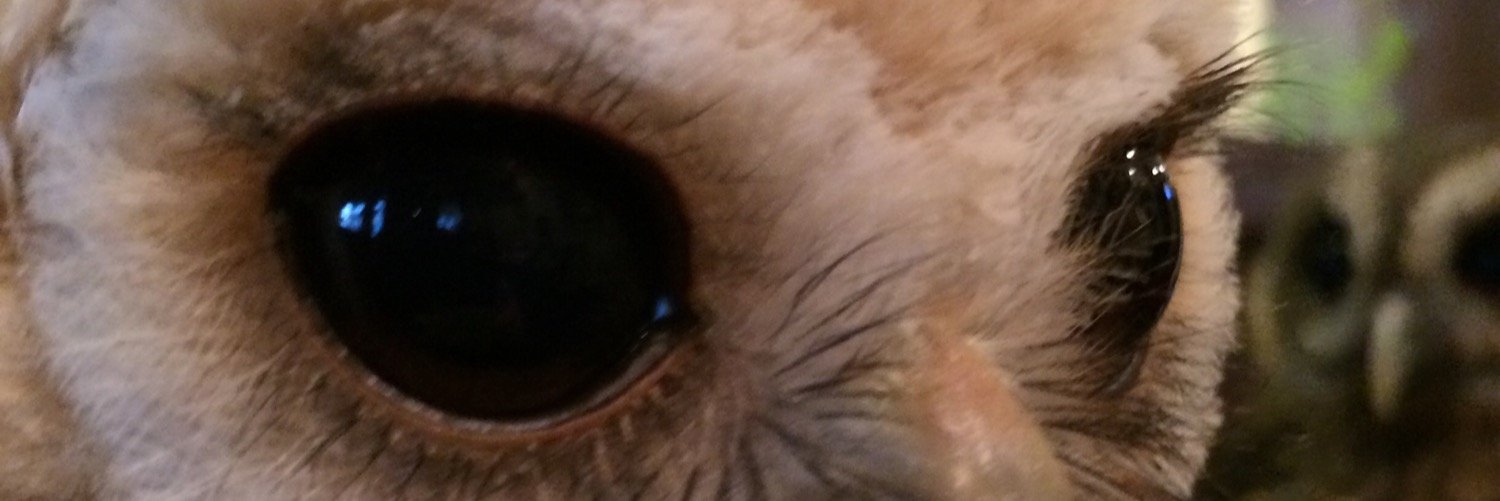 b_chuyuan's profile banner image