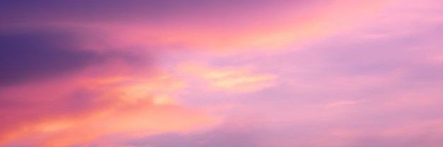 Oscar banner