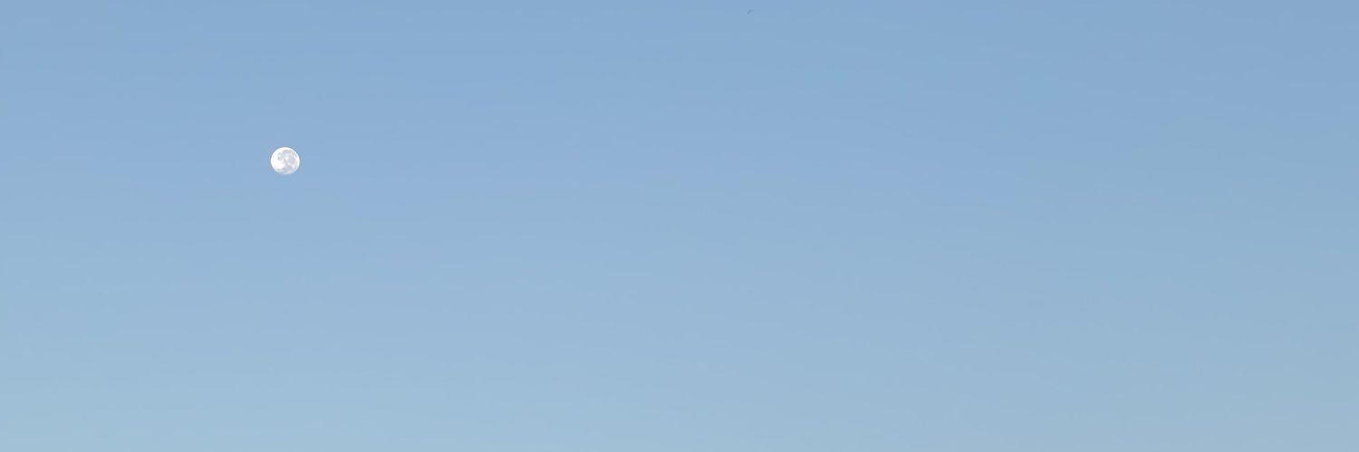 มีแมวขี้อ้อนแล้วนะ banner