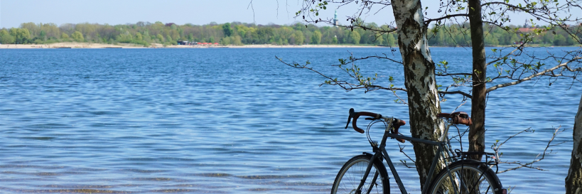 Neuseenlandinfo's profile banner image