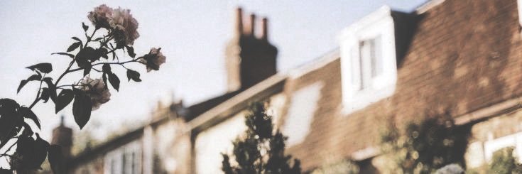 Rufby's profile banner image