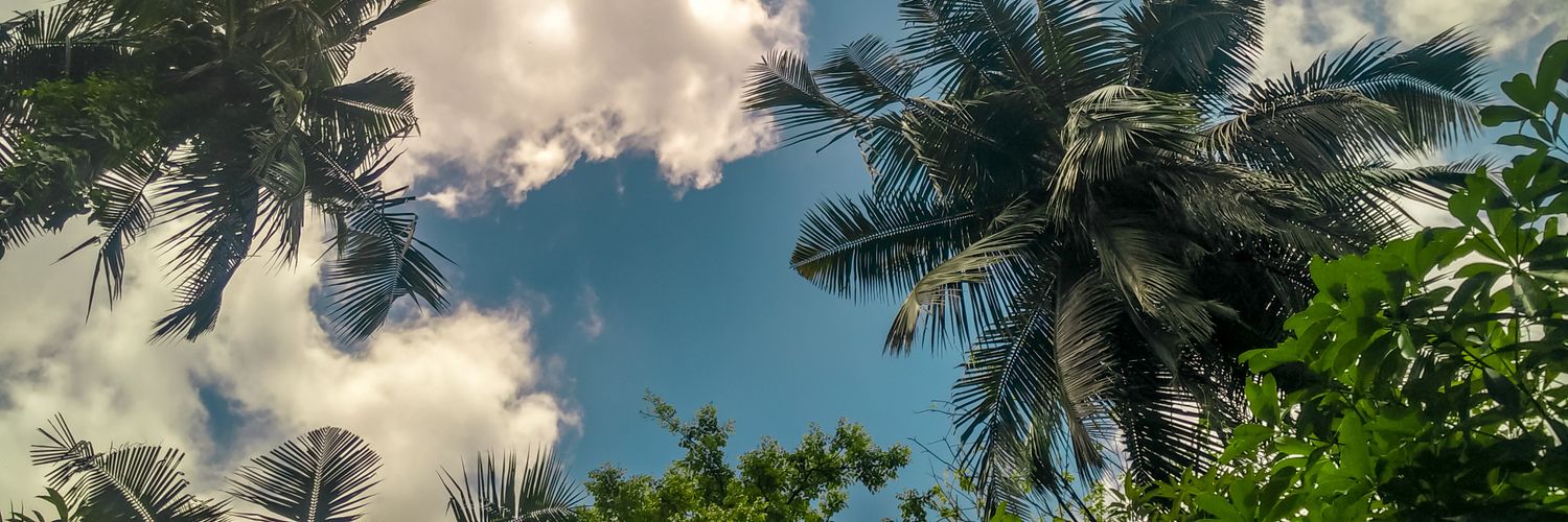 amygdala_rush's profile banner image