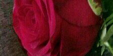 alsaheer112's profile banner image