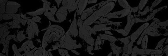 Deemer banner