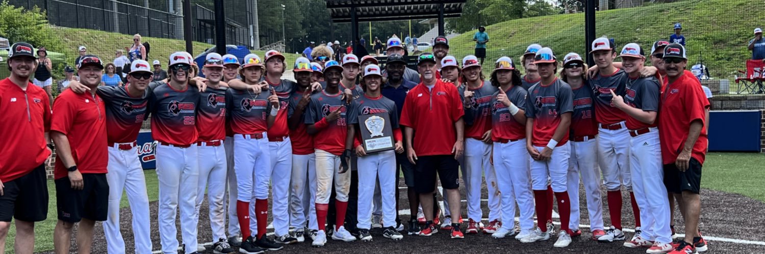 Ethan Papalios banner