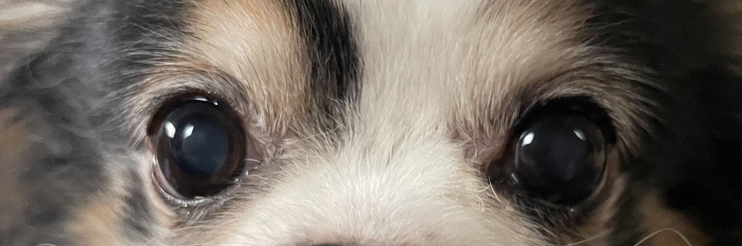 y0528's profile banner image