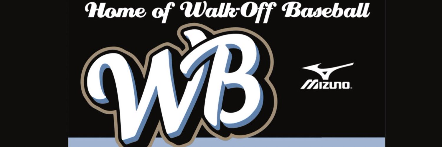 Walk-Off Sports Academy Profile Banner