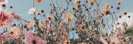 fvnnyhwits's profile banner image