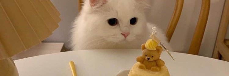 tiger_piyo95's profile banner image