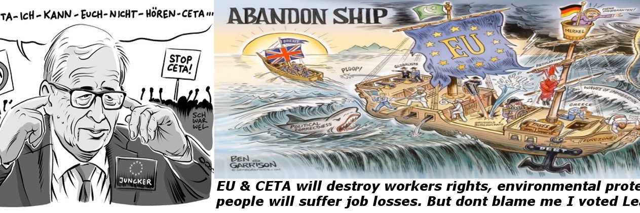 Freedom 🇬🇧 banner