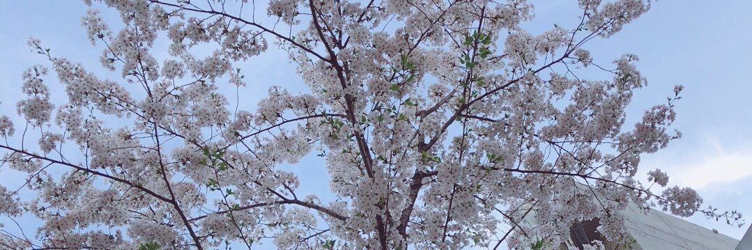 miintmb's profile banner image