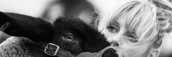 StephRyderPLS's profile banner image