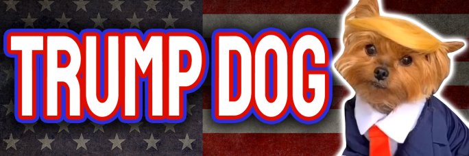 TrumpsDogCTO's profile banner image