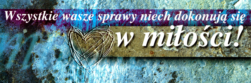 zzabrza's profile banner image
