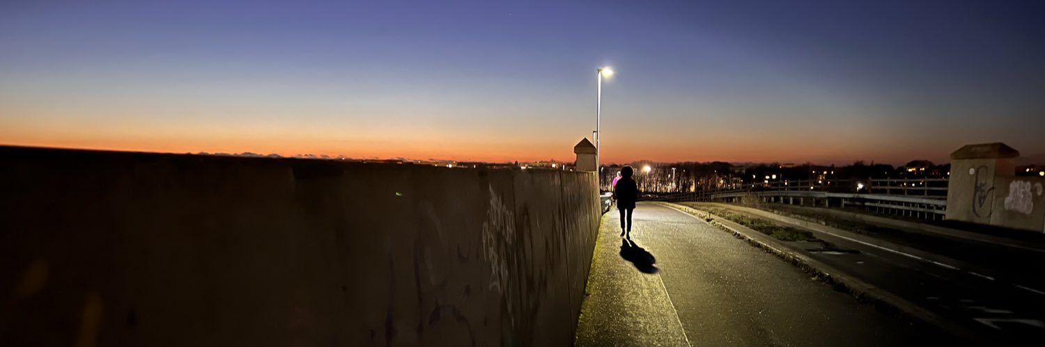 Dr Emerson S. F. Richards banner