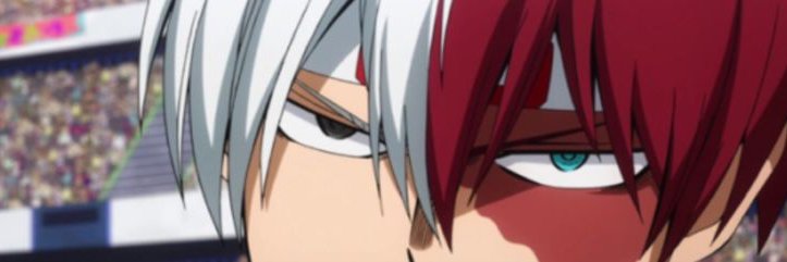 NoNo banner