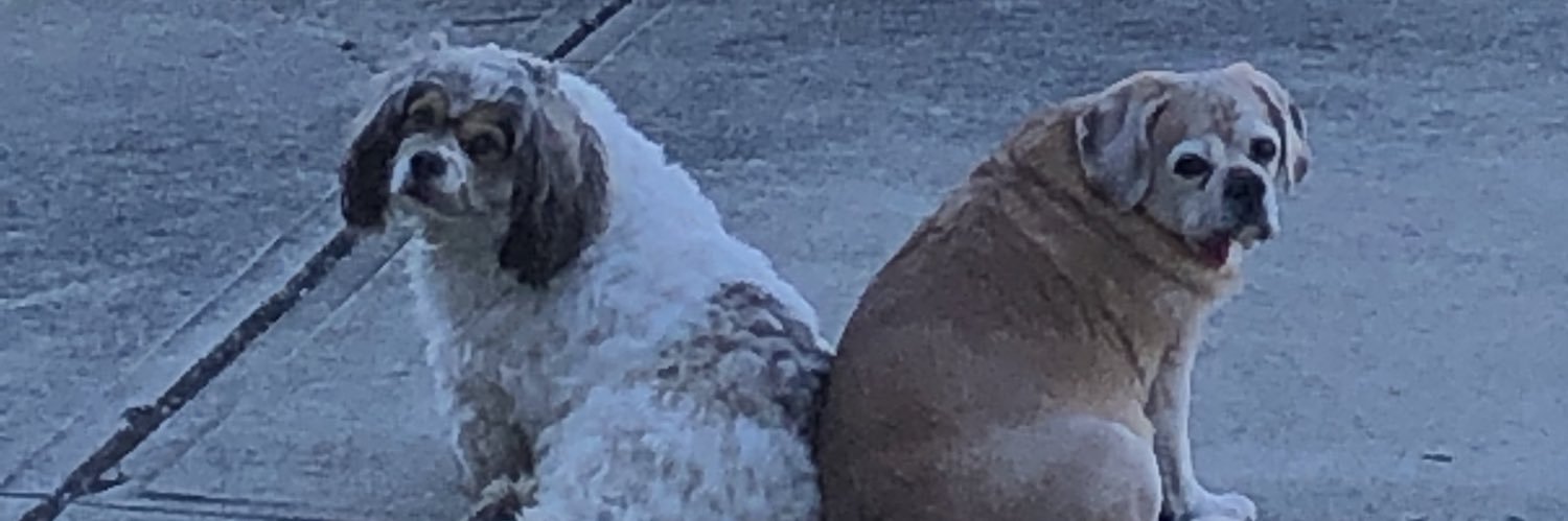 RandyHubbard4's profile banner image