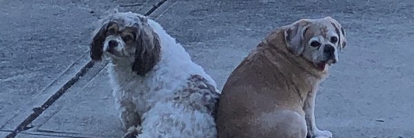 RandyHubbard4 Profile Banner