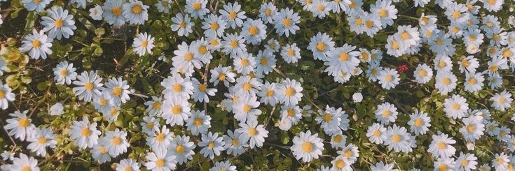 staaysunshine's profile banner image