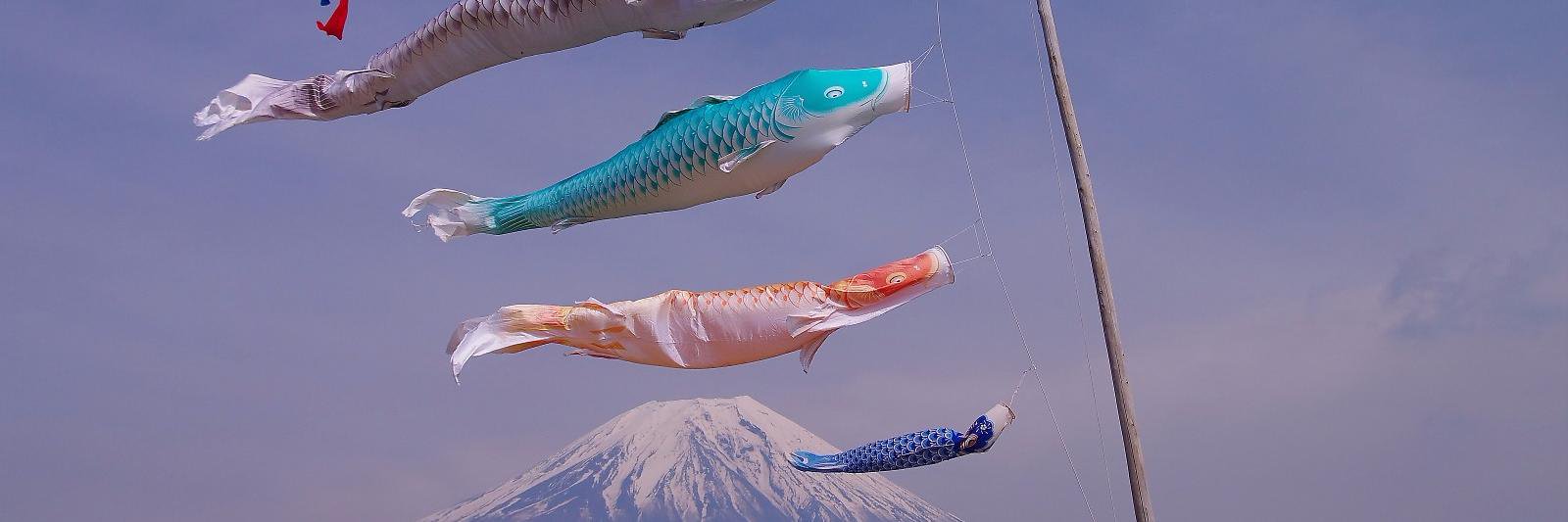 peea13's profile banner image