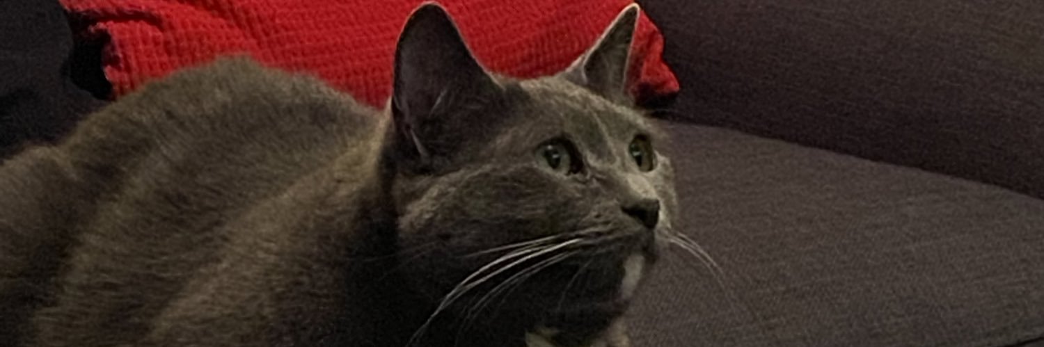 😽Fig & Blue😽 banner