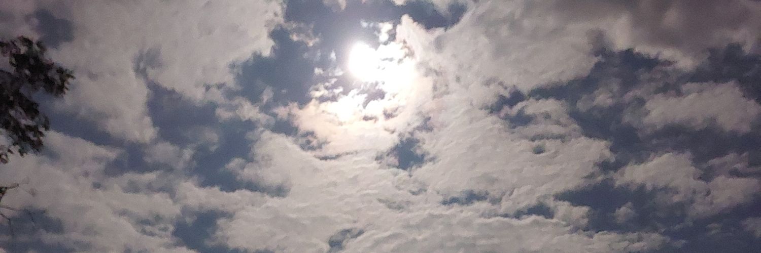 the french redneck banner