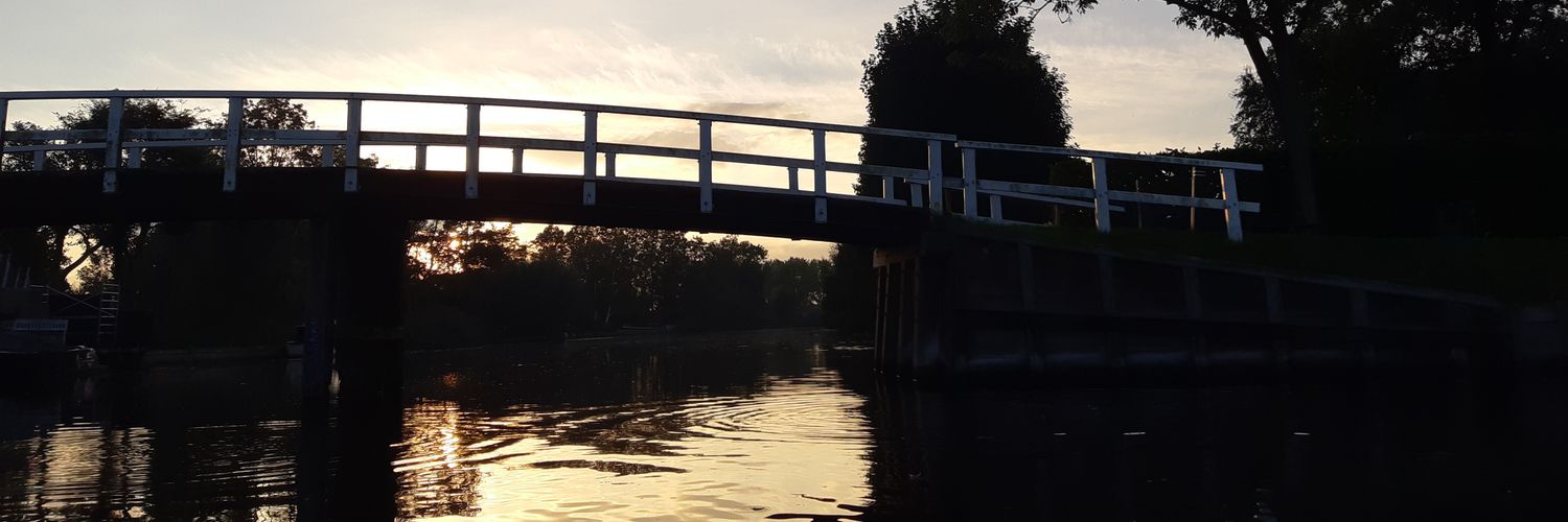 Anneke Bode 🌿 banner