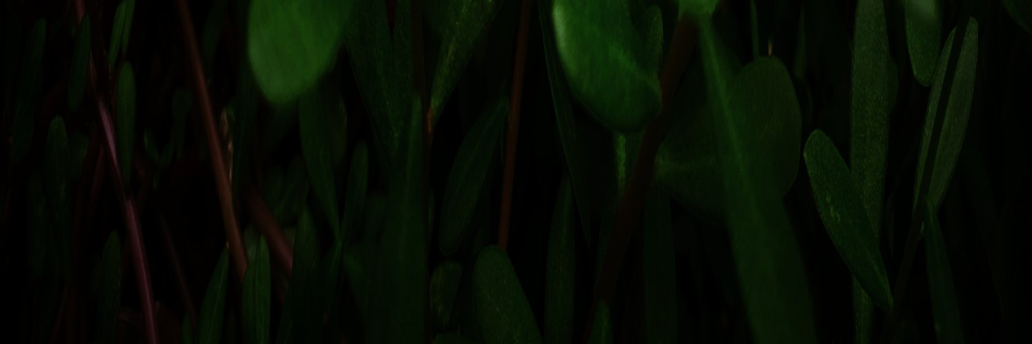 itslj97's profile banner image
