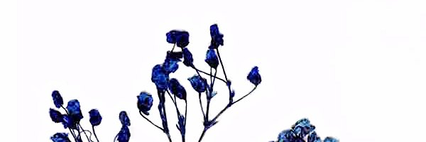 ainaaaaaaaaaaa's profile banner image